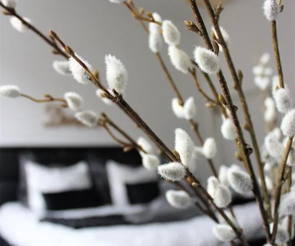 Apartment Cesar Ghent